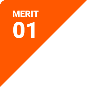 MERIT01